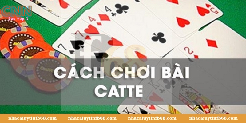 Cách Chơi Bài Catte